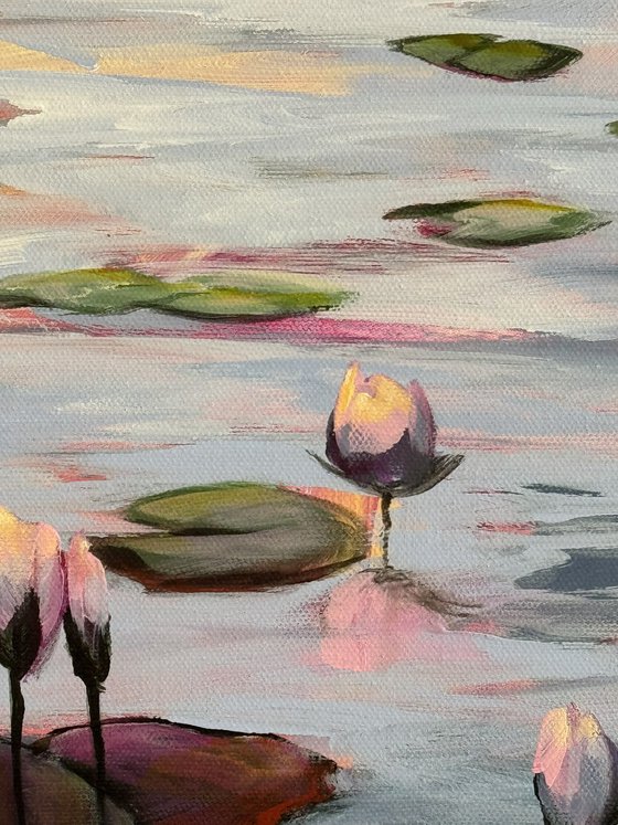 Water Lilies Land 1