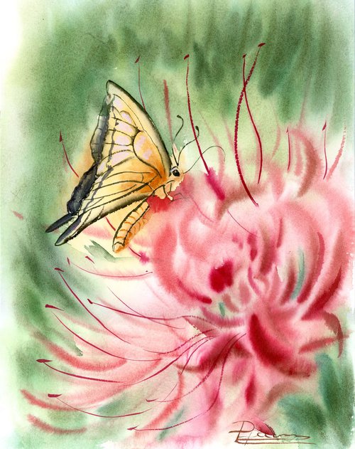 Butterfly on the flower by Olga Tchefranov (Shefranov)