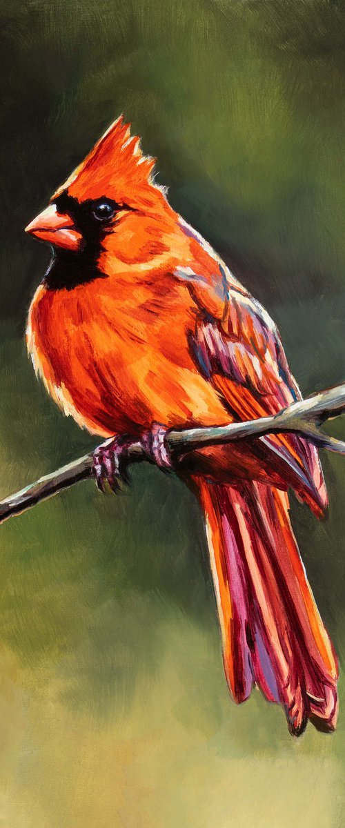 Northern cardinal bird by Lucia Verdejo