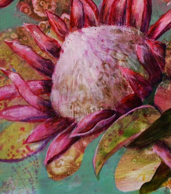 Protea Symphony II.