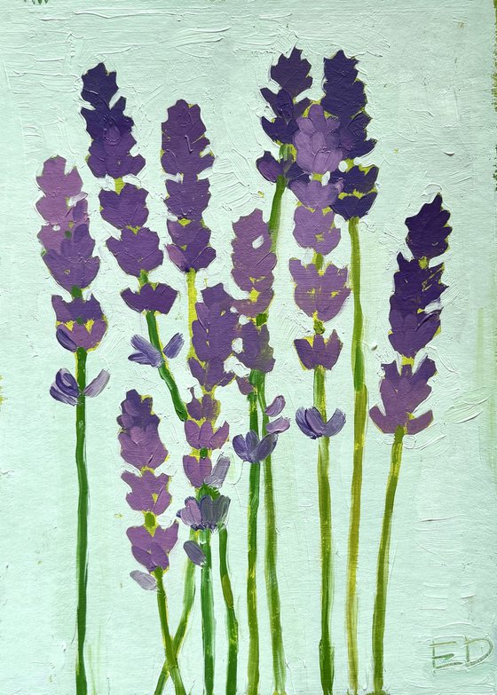 Lavender