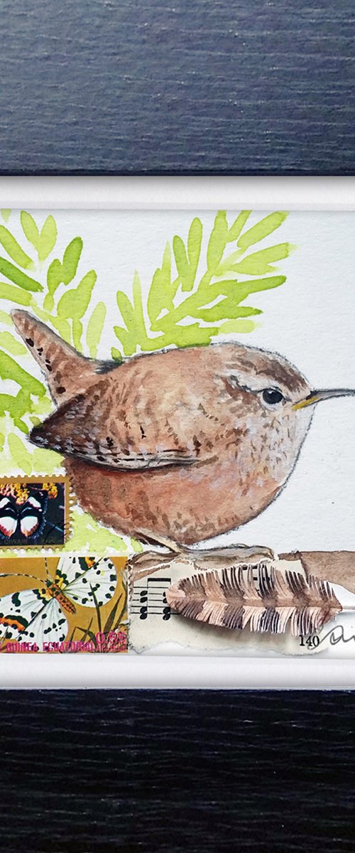 Jenny Wrens' feather  (framed and ready to hang) by Carolynne Coulson