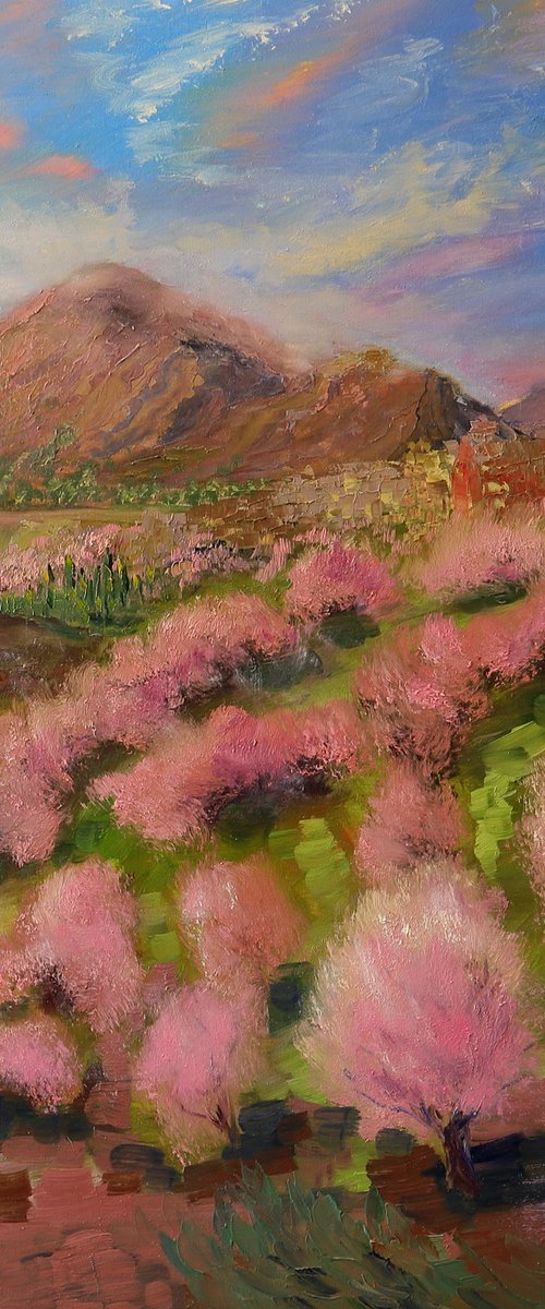 Simphony in Pink by Nataliia Golosova
