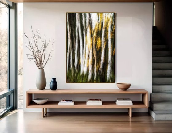 Birches (studio 2)