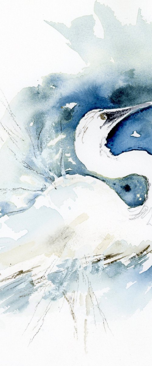 Snowy Egret by Alex Tolstoy