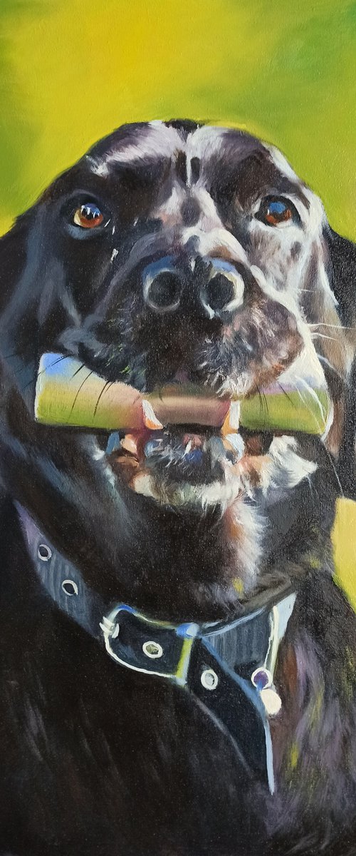 Portrait of a dog II by Magdalena Palega