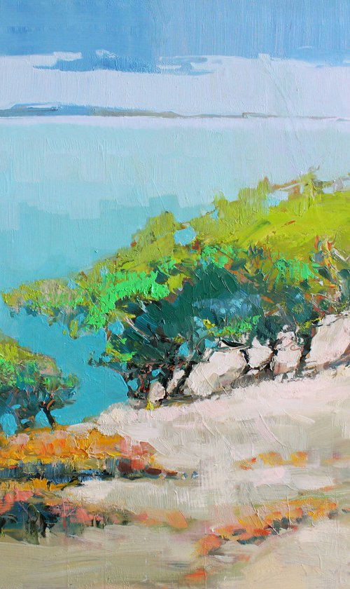 Hill above the Bay by Henadzy Havartsou