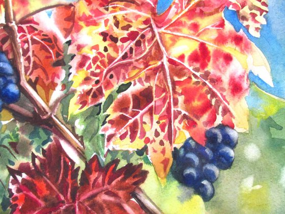 a painting a day #29 "wild grapes"