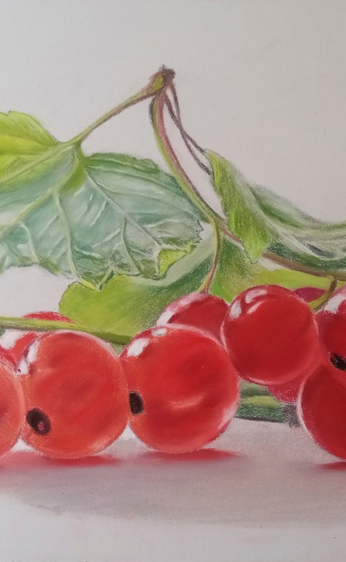 Translucent red berries by Liubov Samoilova