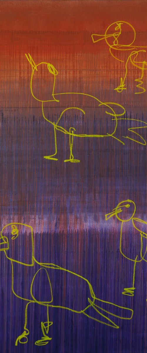 Seagulls by Simon Findlay