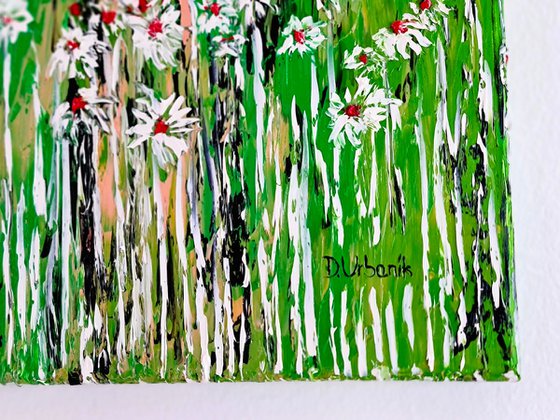 Daisies In The Grass 5