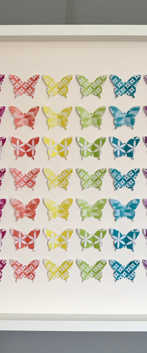 Rainbow Wings by Hernan Reinoso