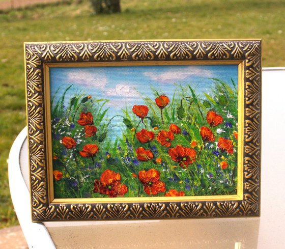 Red flowers field