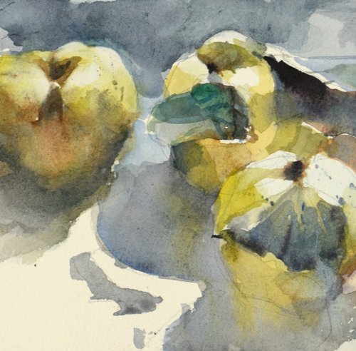 4 quinces by Goran Žigolić Watercolors