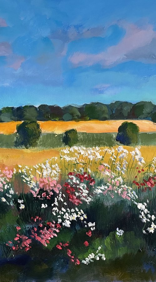 'Wildflowers along the edge of the road, Fife' by Stephen Howard Harrison