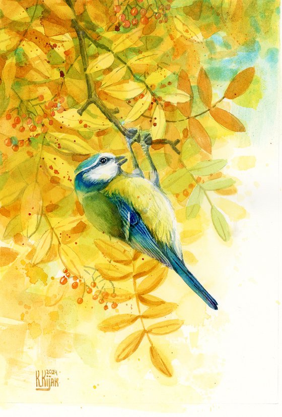 Blue tit in yellow autumn