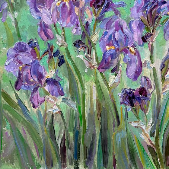 «Irises»