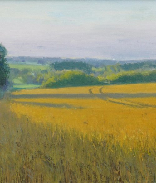 Summer Sunrise, Wheat Fields by Alex James Long