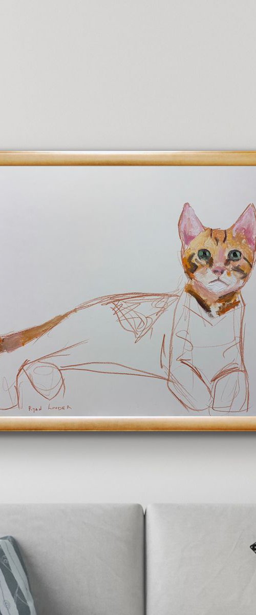 Ginger Cat Study 17x24 by Ryan  Louder