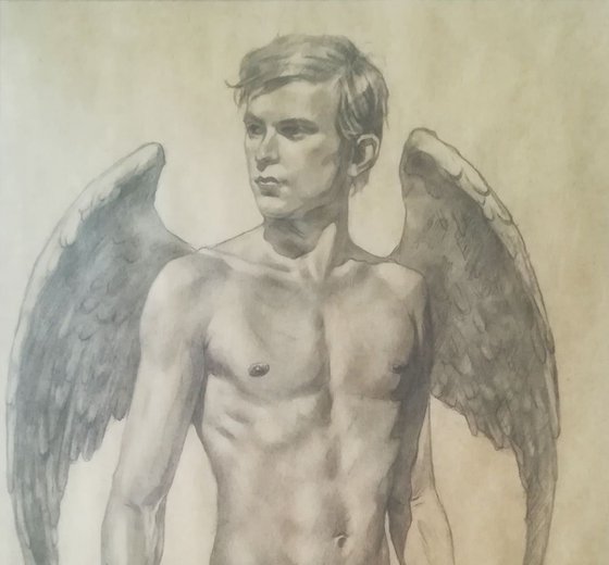 Male nude of angel#19628