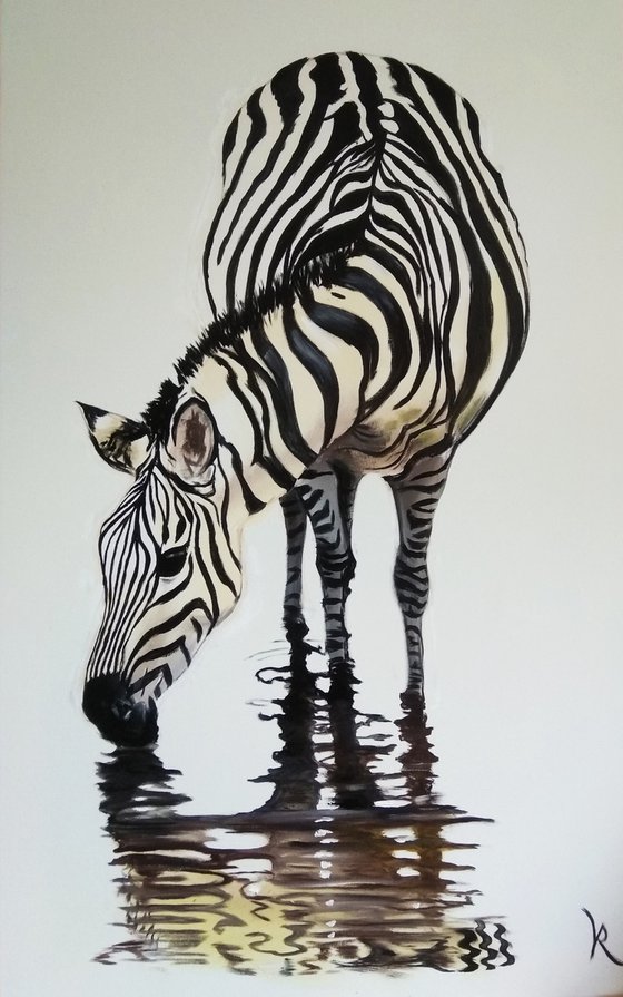 Zebra