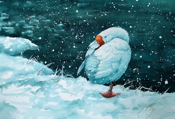 Sleeping Goose in Snow