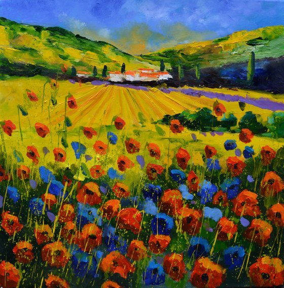 Poppies in Tuscany - 66
