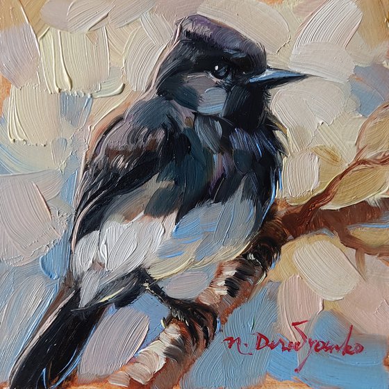 ORIGINAL mini oil painting Black Phoebe on branch bird wall art, Small bird art framed artwork shelf decor