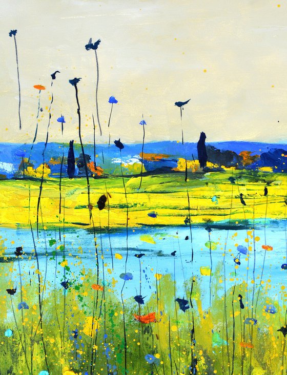 Colourful meadow 6726