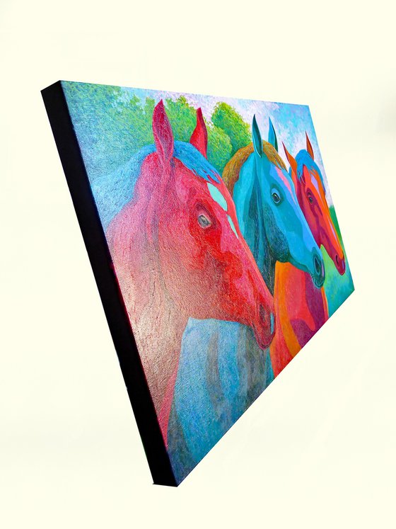 THREE HORSES IN A FIELD