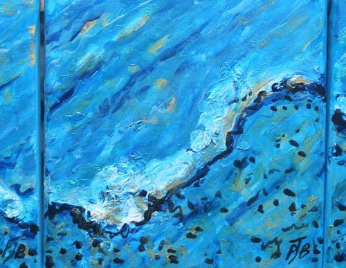 Shore I, II & III by Paul J Best