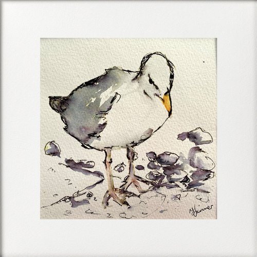 Seagull by Teresa Tanner