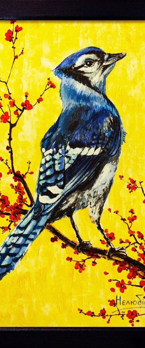 Blue jay by Aleksandr Neliubin