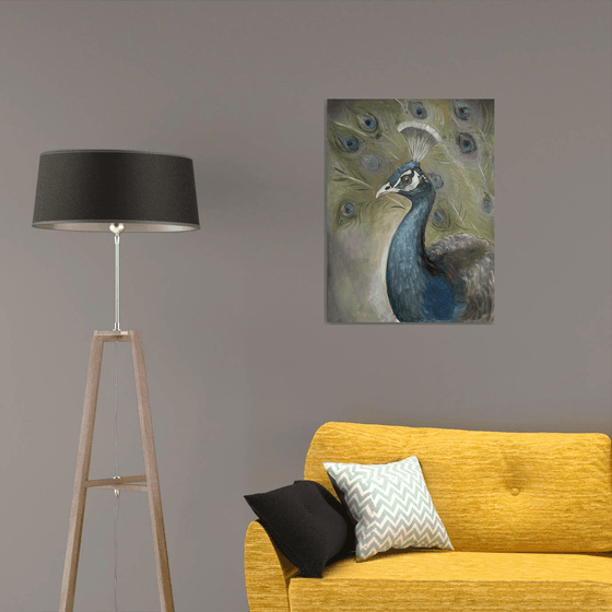 Portrait of a Peacock