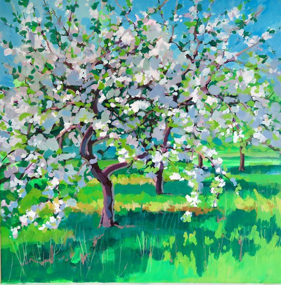 Spring Apple Orchard