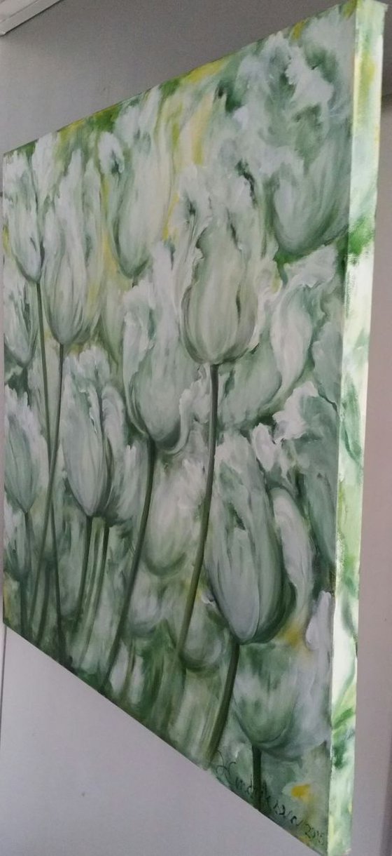"Witte Tulpen"