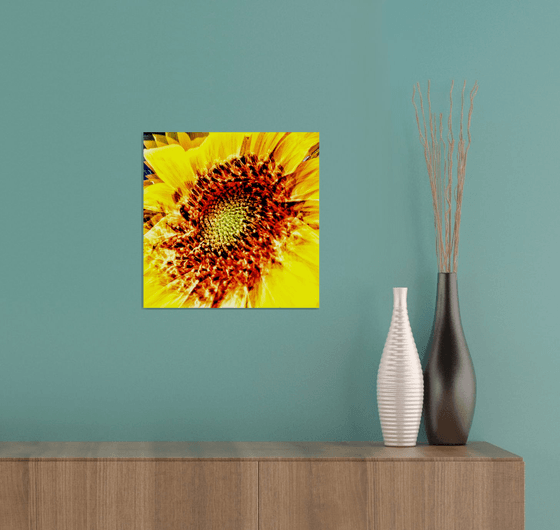 Abstract Sunflower. Limited Edition Abstract Photograph Print  #1/50. Closeup of a sunflower abstraction.