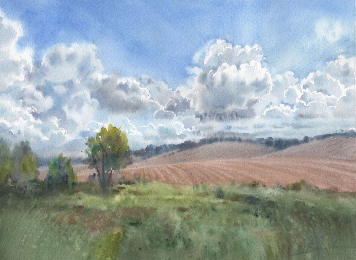 Expressive Landscape Watercolour By Samira Yanushkova, 16 X 11", Cloudy Landscape In Wildlife, Original Artwork
