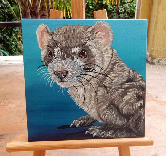 Ferret Pet Rodent Original Art Painting-8 x 8 Inches Deep Set Stretched Canvas-Carla Smale