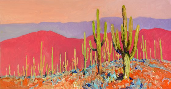 Warm Evening, Saguaros