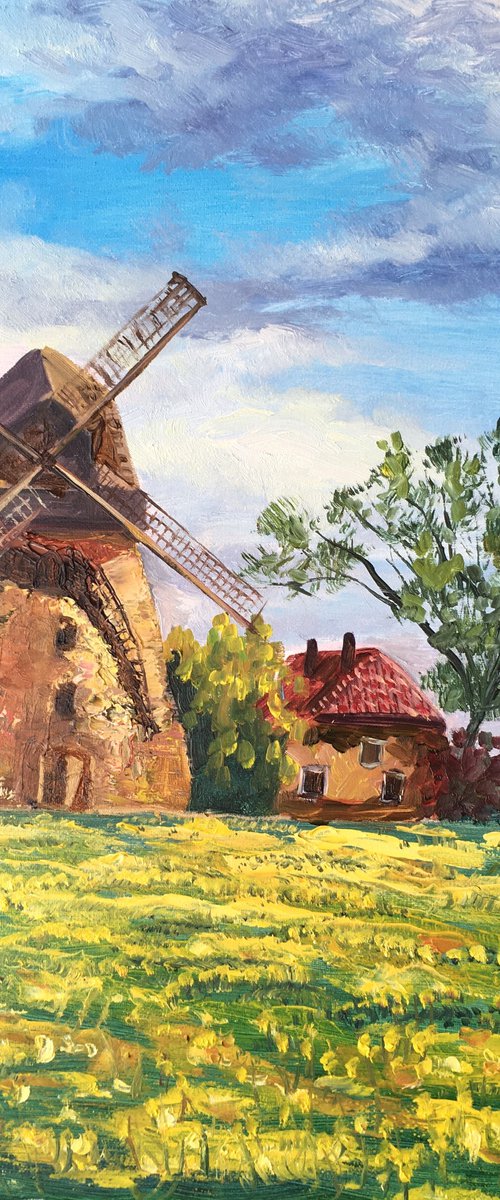 Windmill by Elena Sokolova