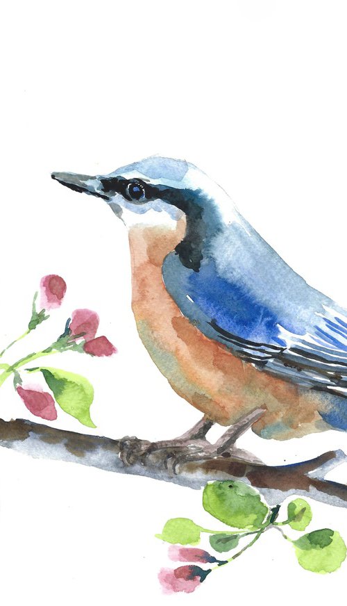 Spring bird watercolor by Tanya Amos