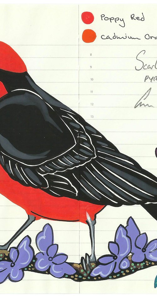 Birds of South America: Scarlet Flycatcher by Fran Giffard