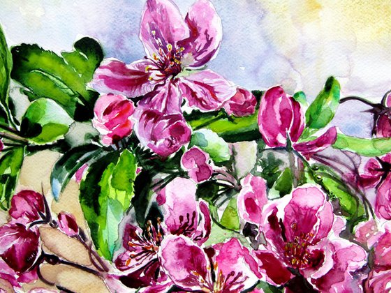Spring from the garden
