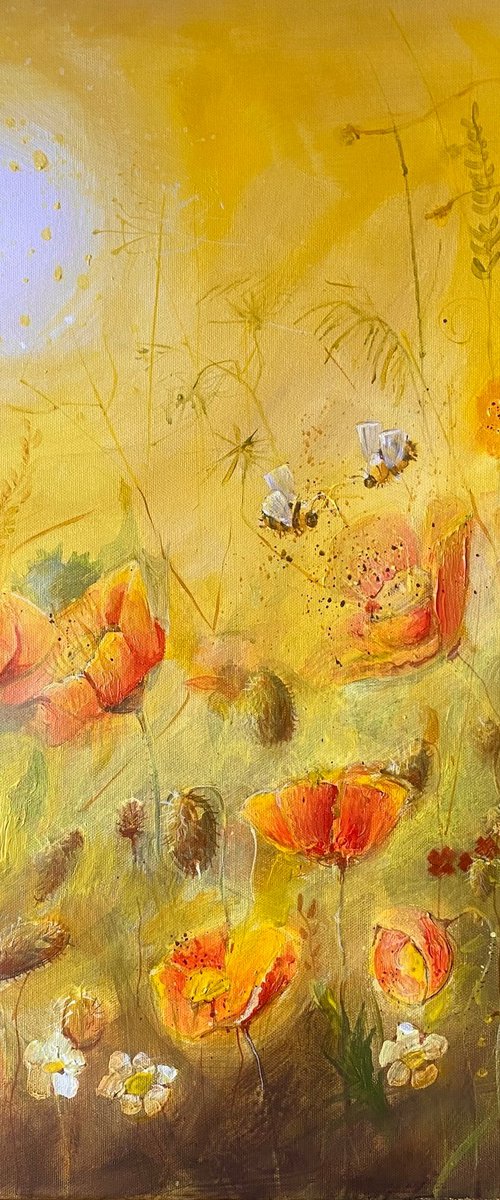 Californian Poppies by Alexandra Krasuska