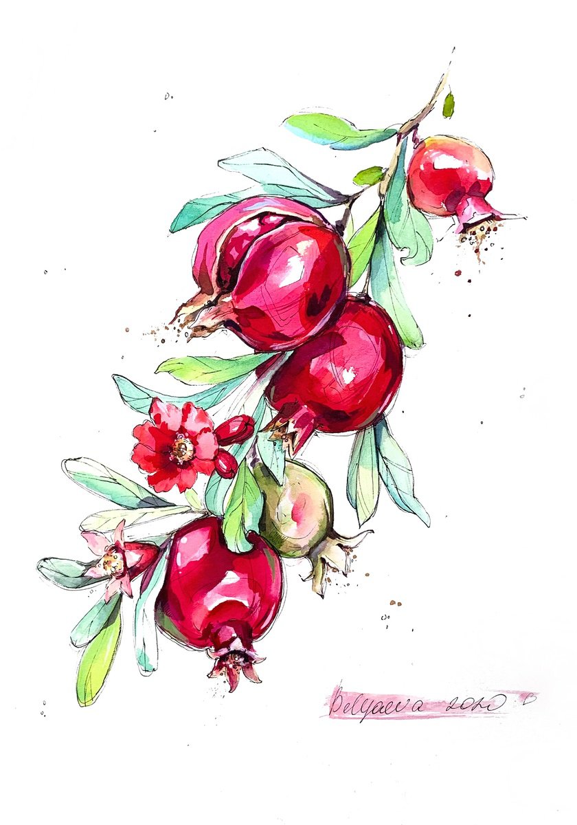 Illustrative Botanical Watercolour By Belyaeva Oleksandra, 11 X 15, Pomegranate, Original Artwork