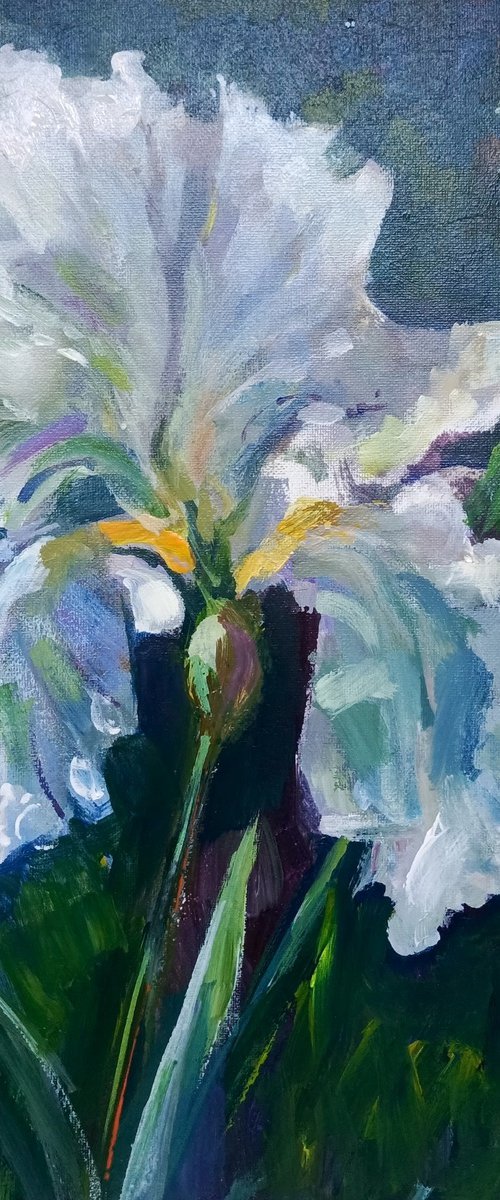 Queen of the Garden by Oxana Raduga