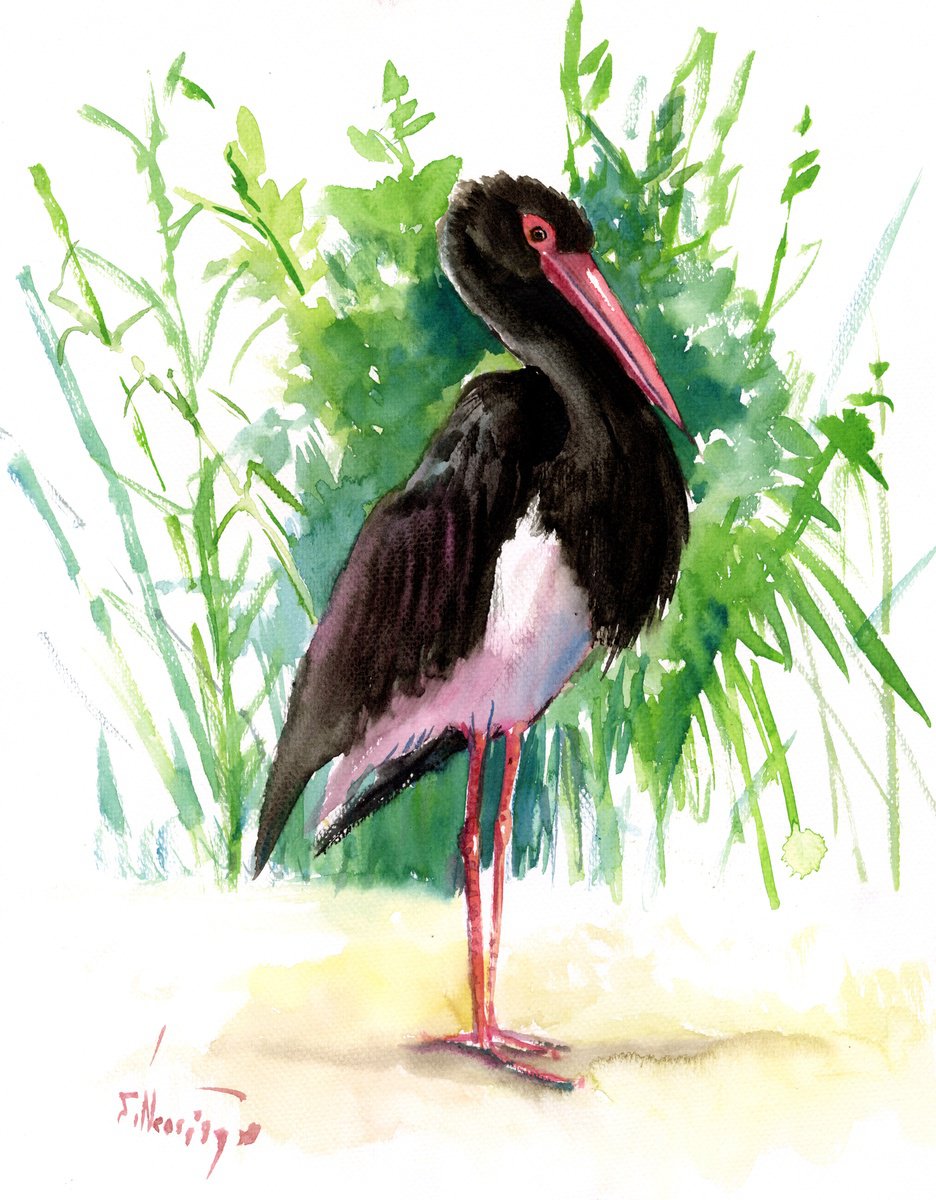 Black Stork by Suren Nersisyan