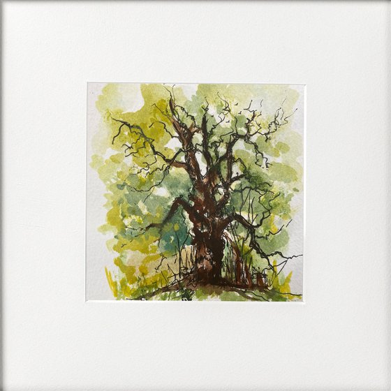 Oak tree watercolour