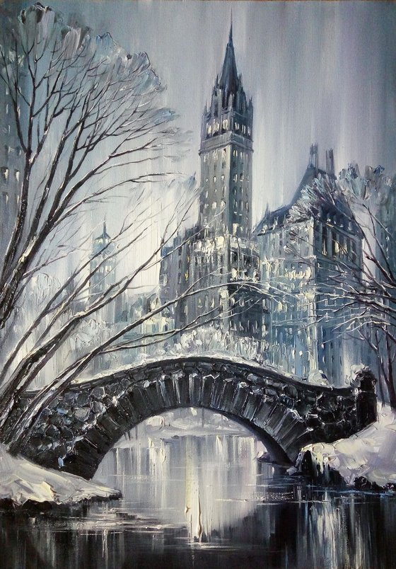 "Winter In Central Park, New York City" by Artem Grunyka
